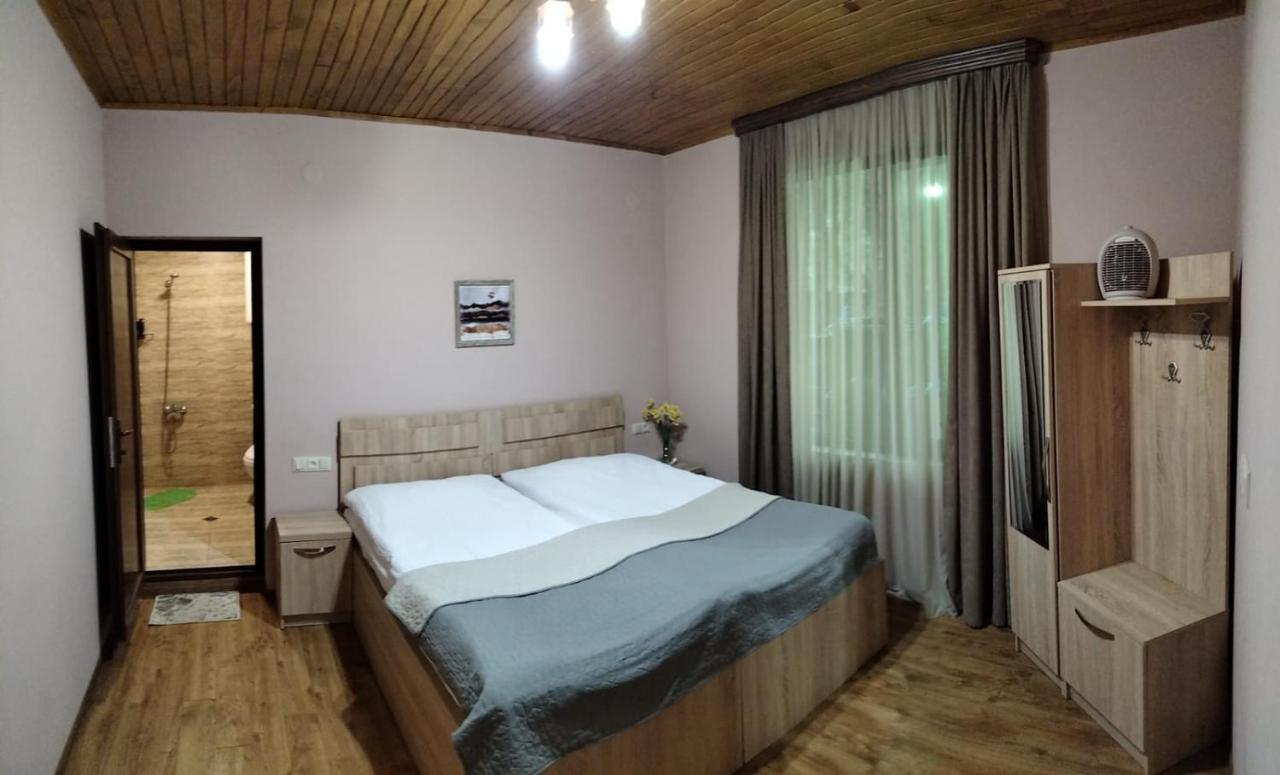 Hotel Lisaneli à Mestia Extérieur photo